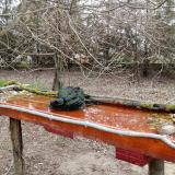 photo 2021-03-24 08-34-59