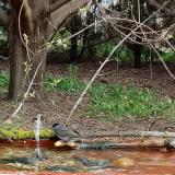 photo 2021-04-13 08-21-59 poszata