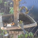 photo 2019-12-08 11-29-23