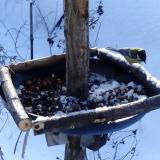 photo 2019-01-09 09-32-50