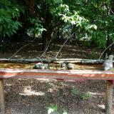 photo 2021-07-13 10-00-15