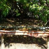 photo 2021-10-02 11-47-48