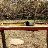 photo 2021-03-11 09-55-53