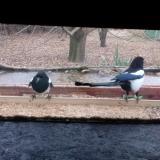 photo 2021-12-09 08-55-06