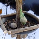 photo 2019-01-11 13-21-23