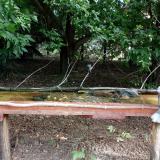 photo 2021-08-04 08-39-51