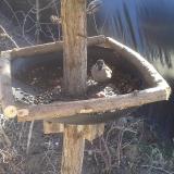 photo 2019-02-23 11-49-05