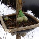 photo 2019-01-10 12-11-25