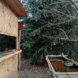 photo 2022-01-05 09-26-05