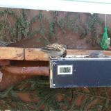 photo 2021-03-01 08-56-56