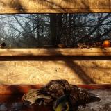 photo 2022-01-24 09-49-26