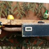 photo 2021-02-03 12-34-15