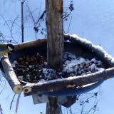 photo 2019-01-09 09-34-44