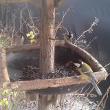 photo 2019-12-26 13-46-17