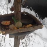 photo 2019-01-23 08-00-00