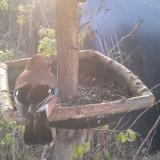 photo 2019-12-17 08-48-58