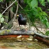 photo 2021-05-12 12-10-10 seregely