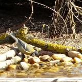 photo 2021-03-11 09-26-13 cinke