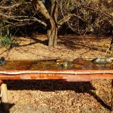 photo 2021-10-27 11-02-21