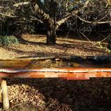 photo 2021-10-25 09-14-35