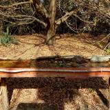 photo 2021-10-26 12-10-35