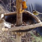 photo 2019-02-08 10-51-01