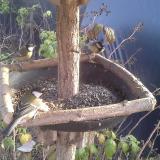 photo 2019-12-08 13-40-48