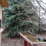 photo 2021-12-12 09-54-50