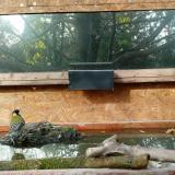 photo 2023-10-24 09-27-53