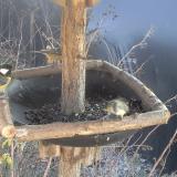 photo 2019-12-31 13-02-49