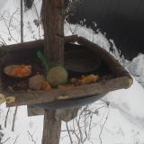 photo 2019-01-23 09-12-03