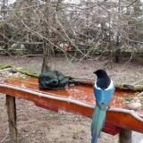 photo 2021-03-18 07-06-27