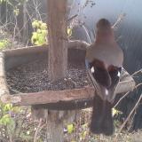 photo 2019-12-19 09-18-17