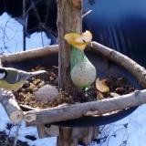 photo 2019-01-14 09-15-39