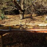 photo 2021-10-25 14-26-06