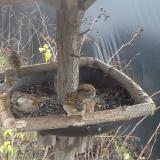 photo 2019-12-25 11-17-44