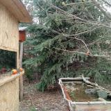 photo 2021-12-26 10-54-44