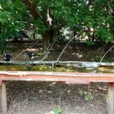 photo 2021-08-12 14-34-32