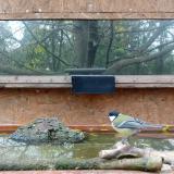 photo 2023-10-28 12-27-33