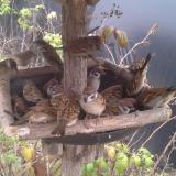 photo 2019-12-07 13-40-02