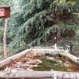 photo 2023-10-09 11-26-16