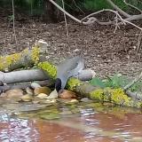 photo 2021-04-01 17-45-24 poszata