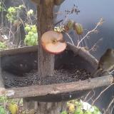 photo 2019-12-05 11-43-29