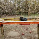 photo 2021-03-12 15-12-01