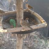 photo 2019-02-17 07-21-22