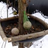 photo 2019-01-12 10-21-52