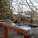 photo 2022-03-13 06-42-30