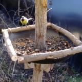 photo 2019-01-03 10-52-55