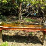 photo 2021-04-21 10-56-39