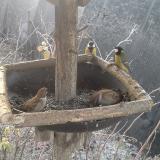 photo 2019-12-30 07-44-06